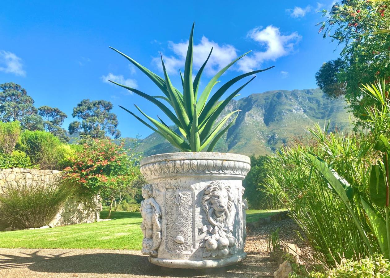 The Guardian Hermanus Luxury Self-Catering Hemel En Aarde Valley エクステリア 写真